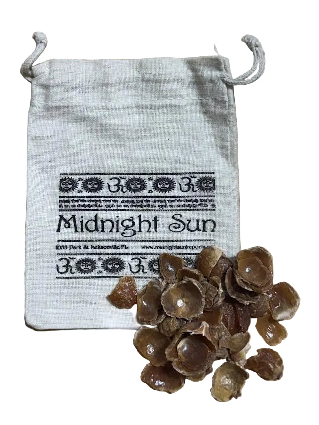 Soap Nuts Dehulled
