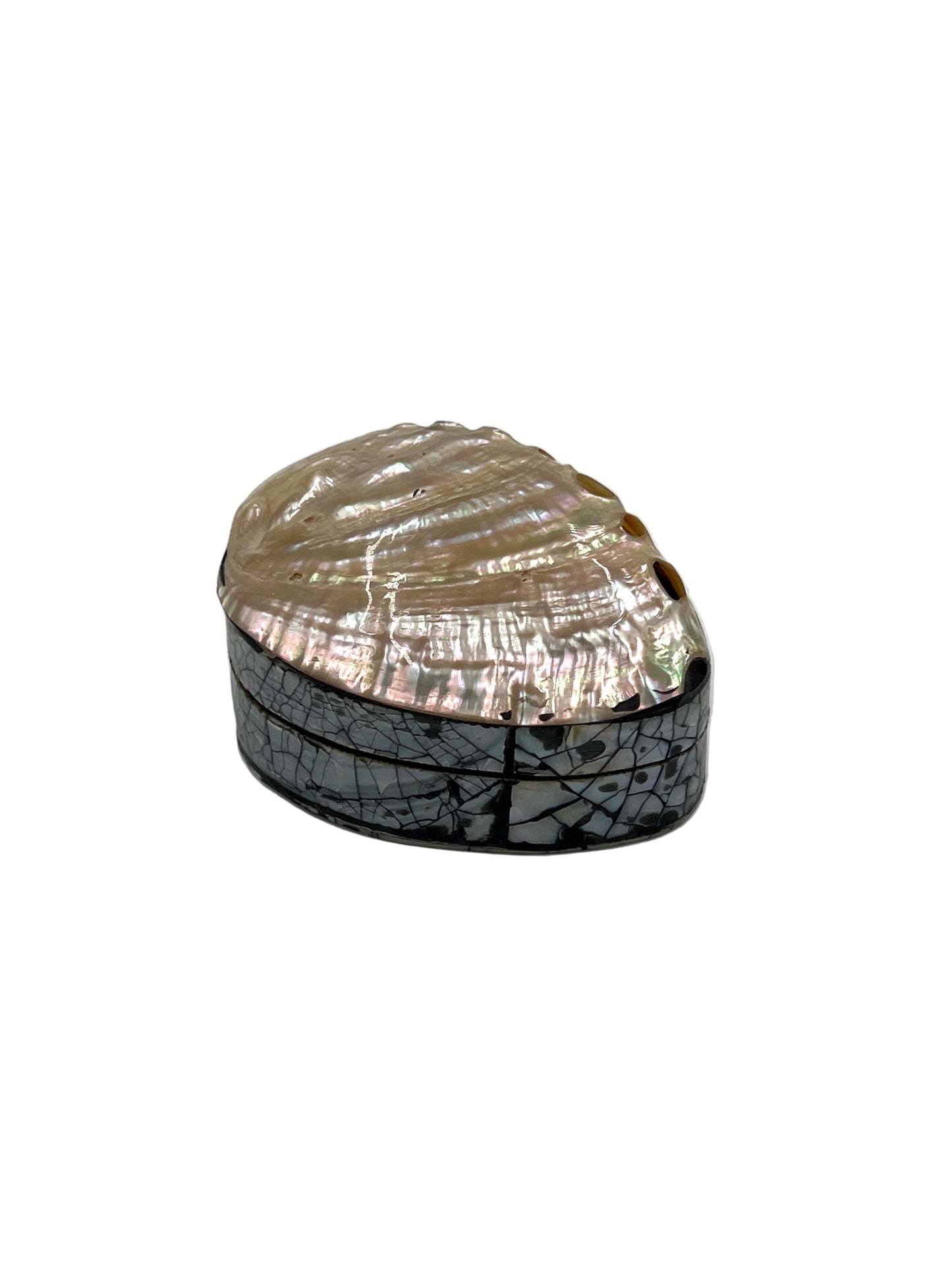 Abalone Shell Jewelry Boxes