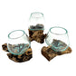 Mini Glass and Driftwood Terrariums