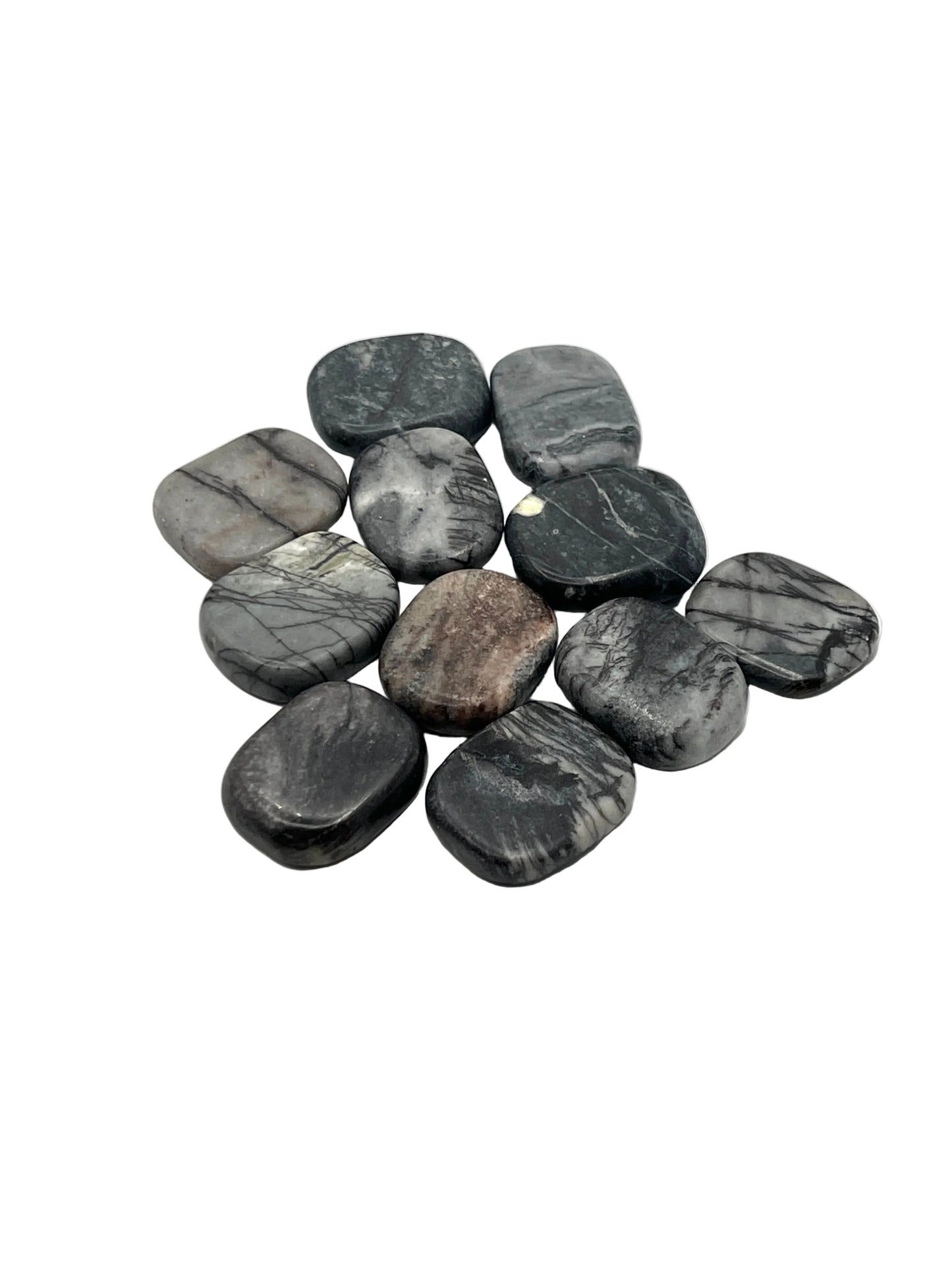 Spider Web Jasper Coins