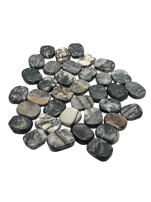 Spider Web Jasper Coins