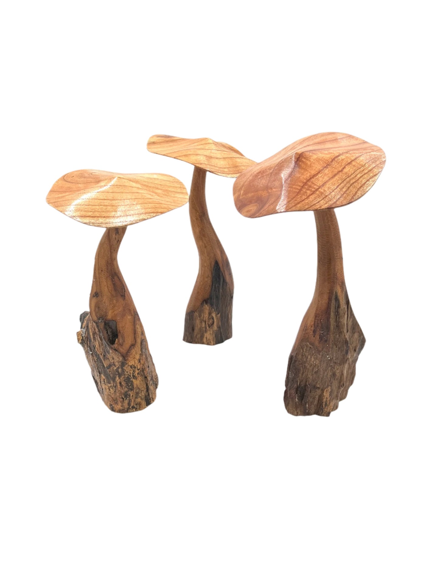 Mushroom Parasite Wood Carvings