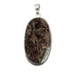 Silver Astrophyllite Pendants