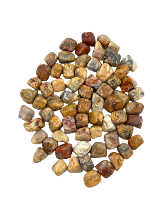 Crazy Lace Agate Tumbles
