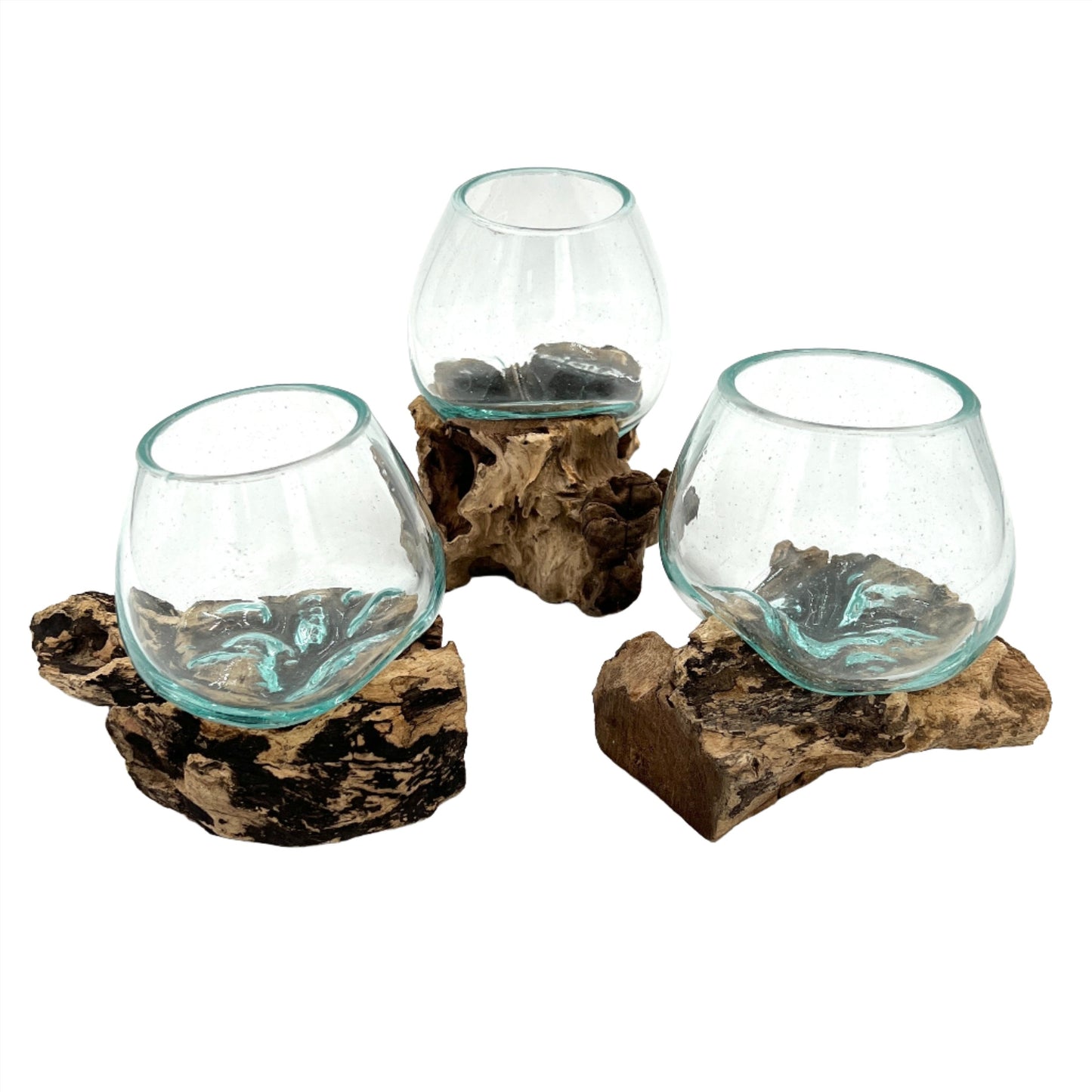 Mini Glass and Driftwood Terrariums