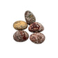 Leopard Skin Jasper Tumbled Nuggets
