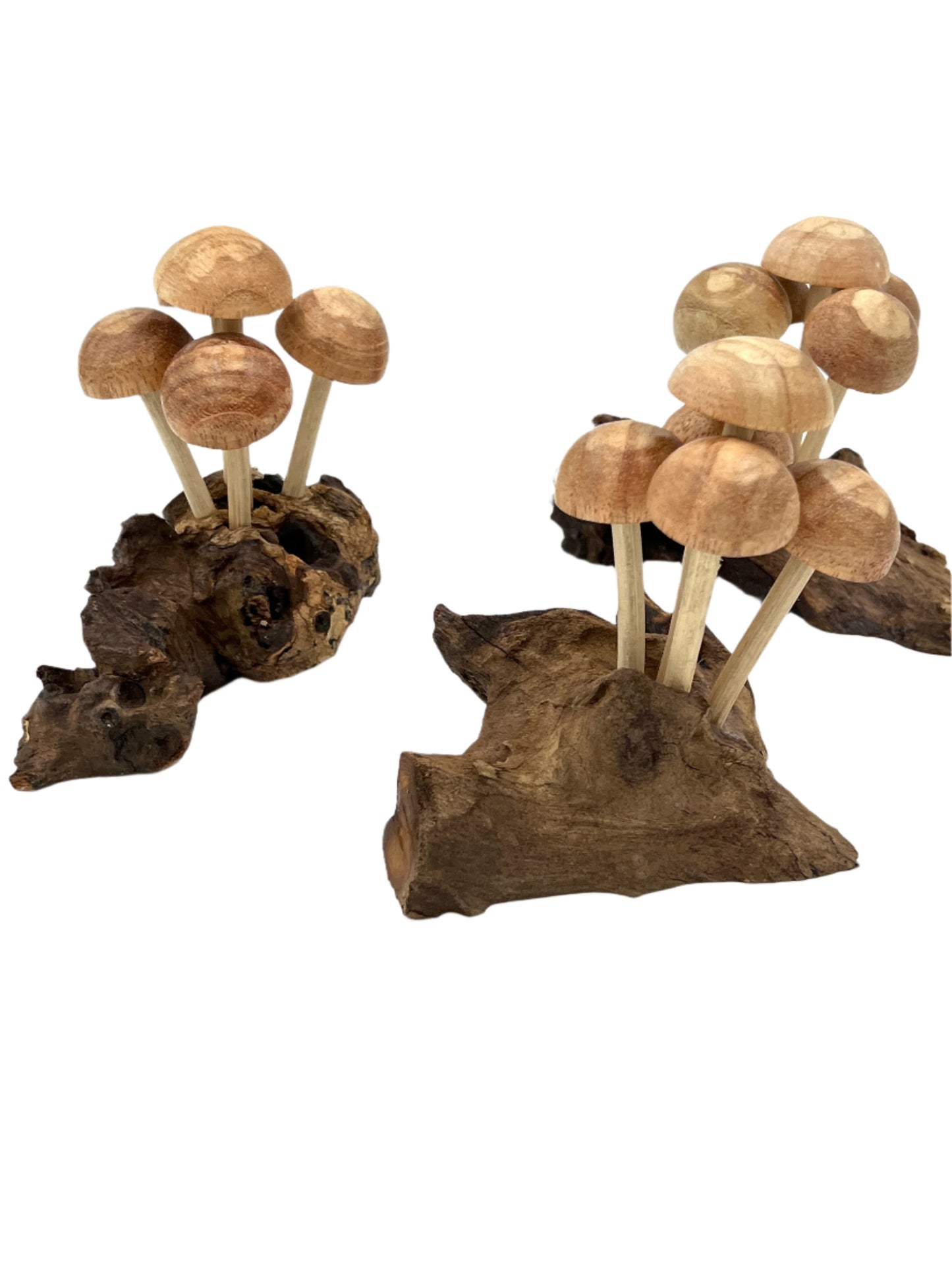 Parasite Wood Mushroom Colony Carvings