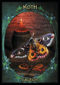 Witches' Familiar Oracle Cards