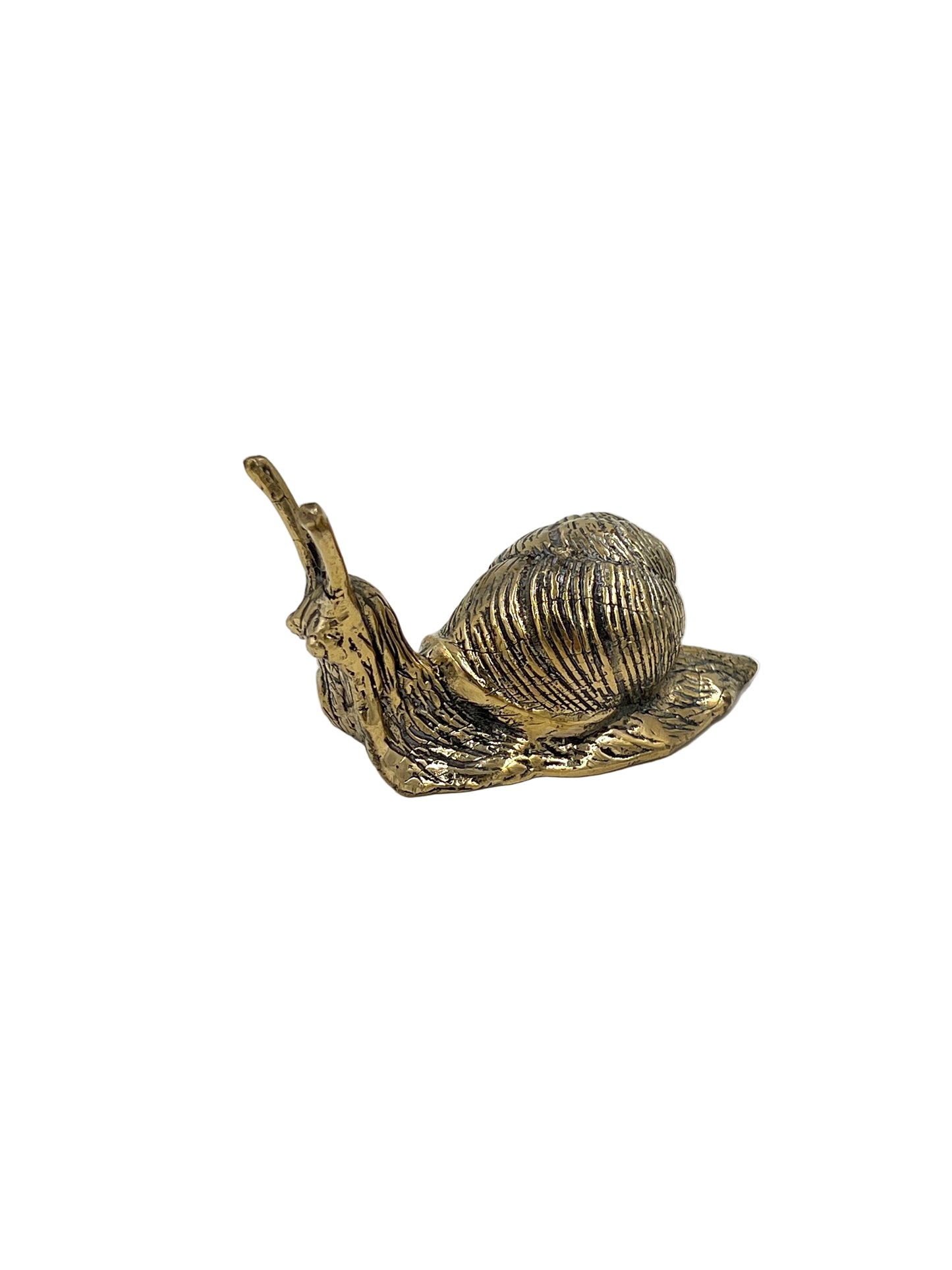 Bronze Snail