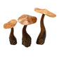 Mushroom Parasite Wood Carvings