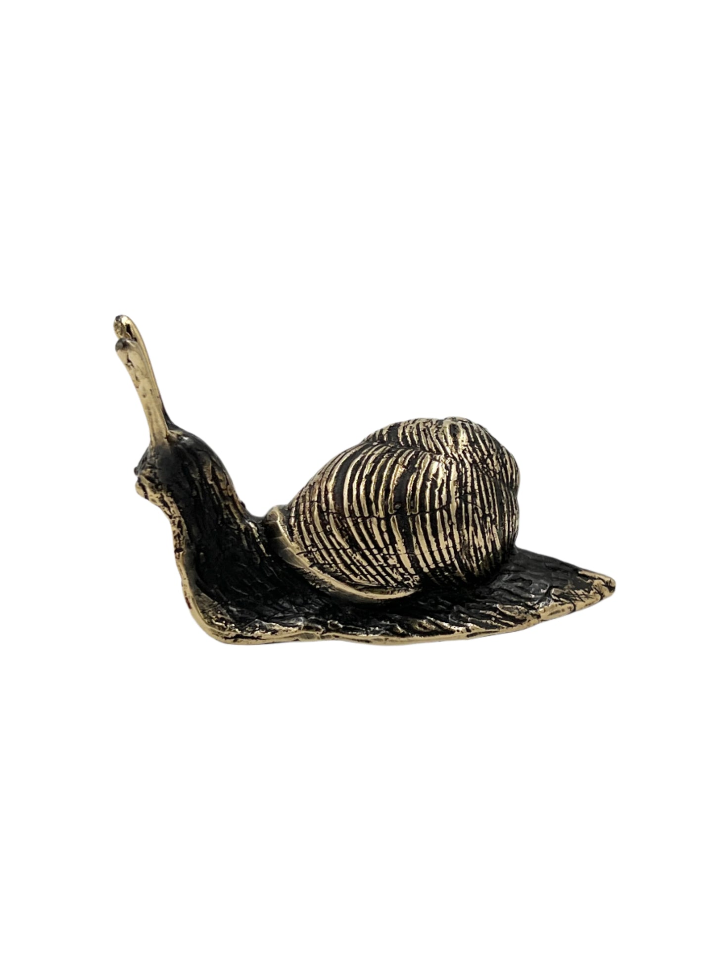 Bronze Snail