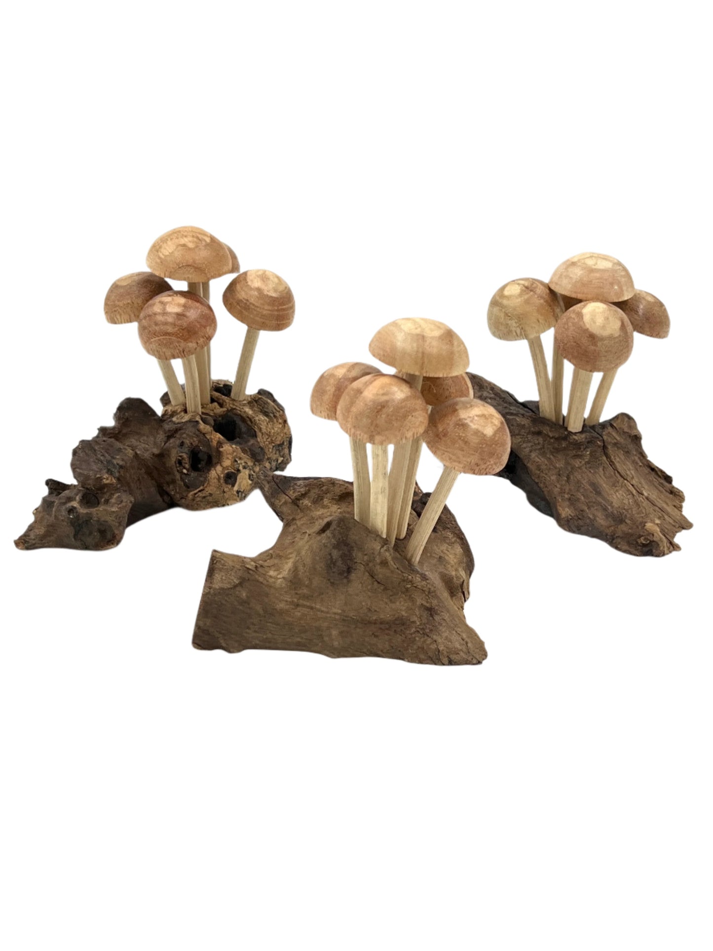 Parasite Wood Mushroom Colony Carvings