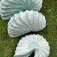 Carved Sleeping Shell