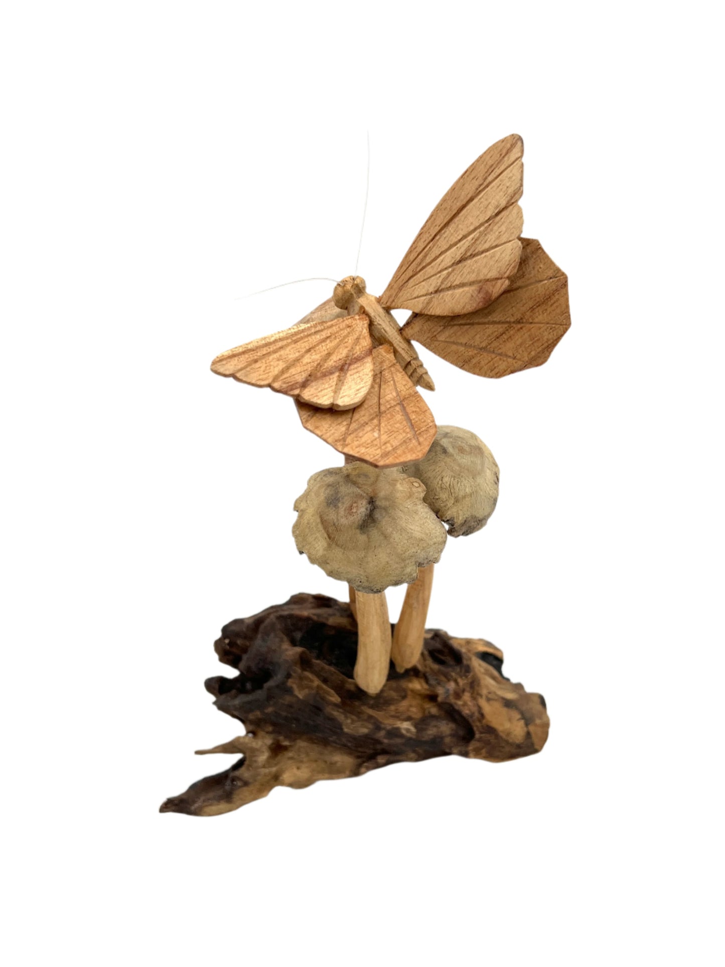 Parasite Wood Butterfly on Mushroom Colony Carving