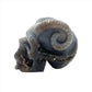Druzy Agate Skull with Horns