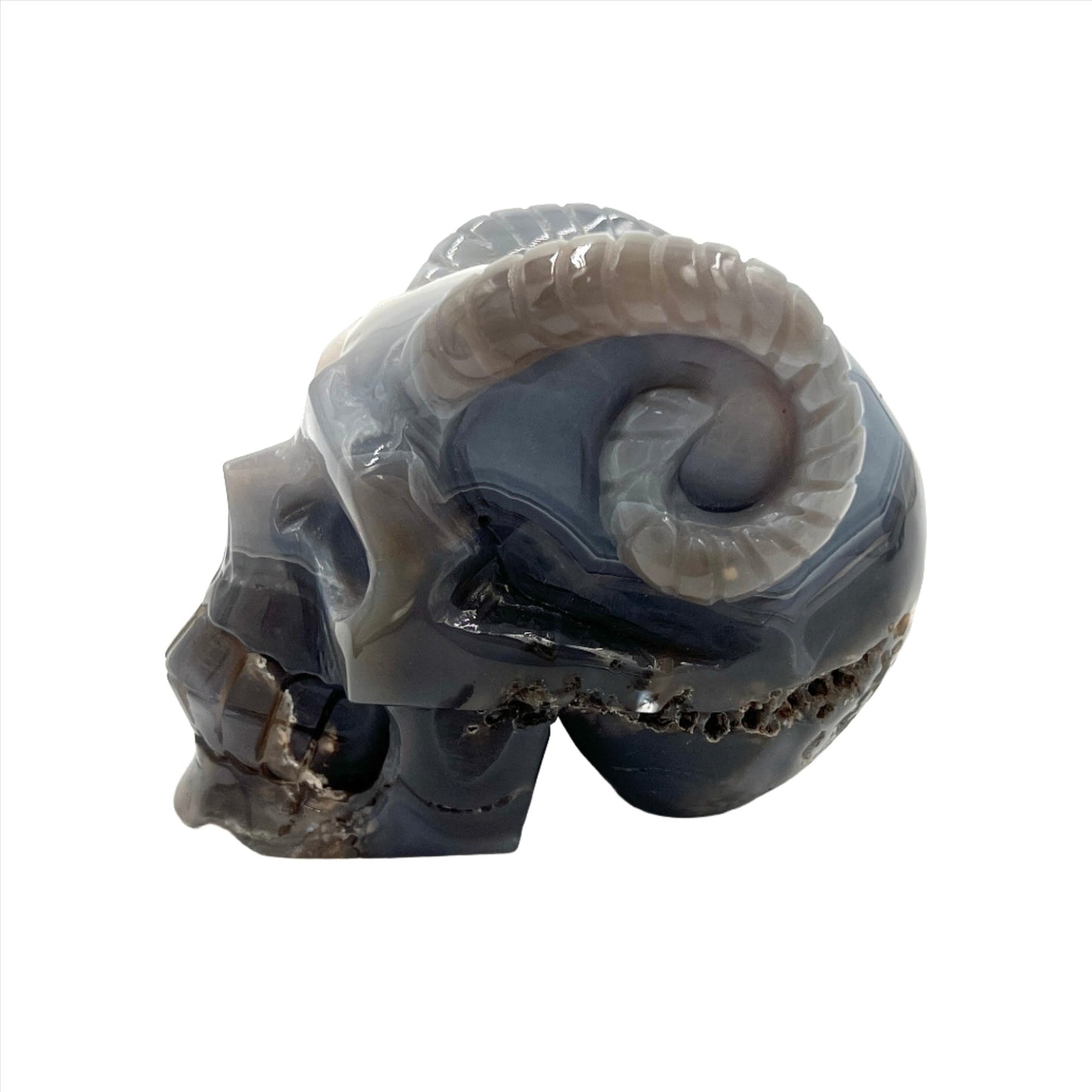 Druzy Agate Skull with Horns