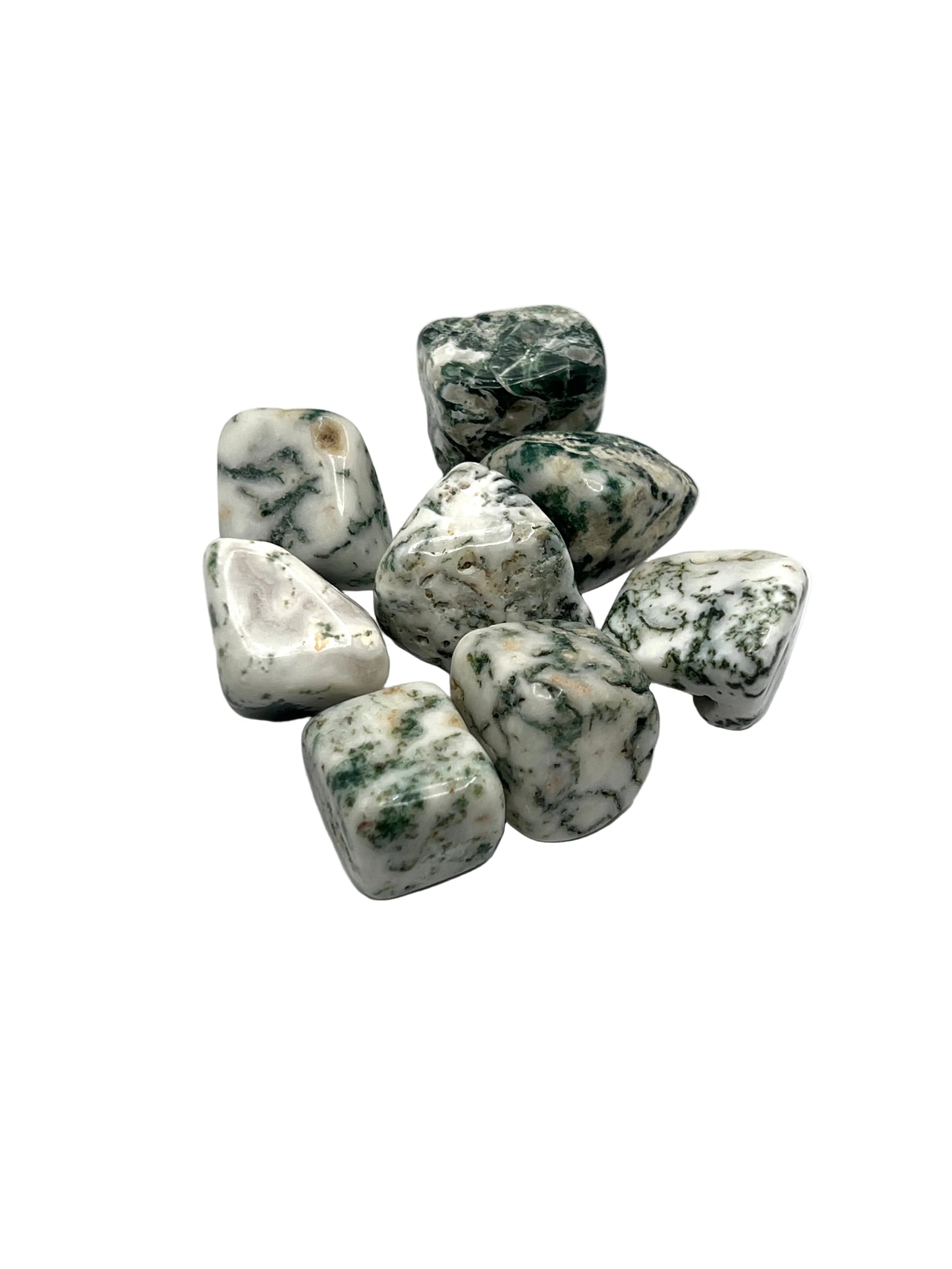 Tree Agate Tumbles