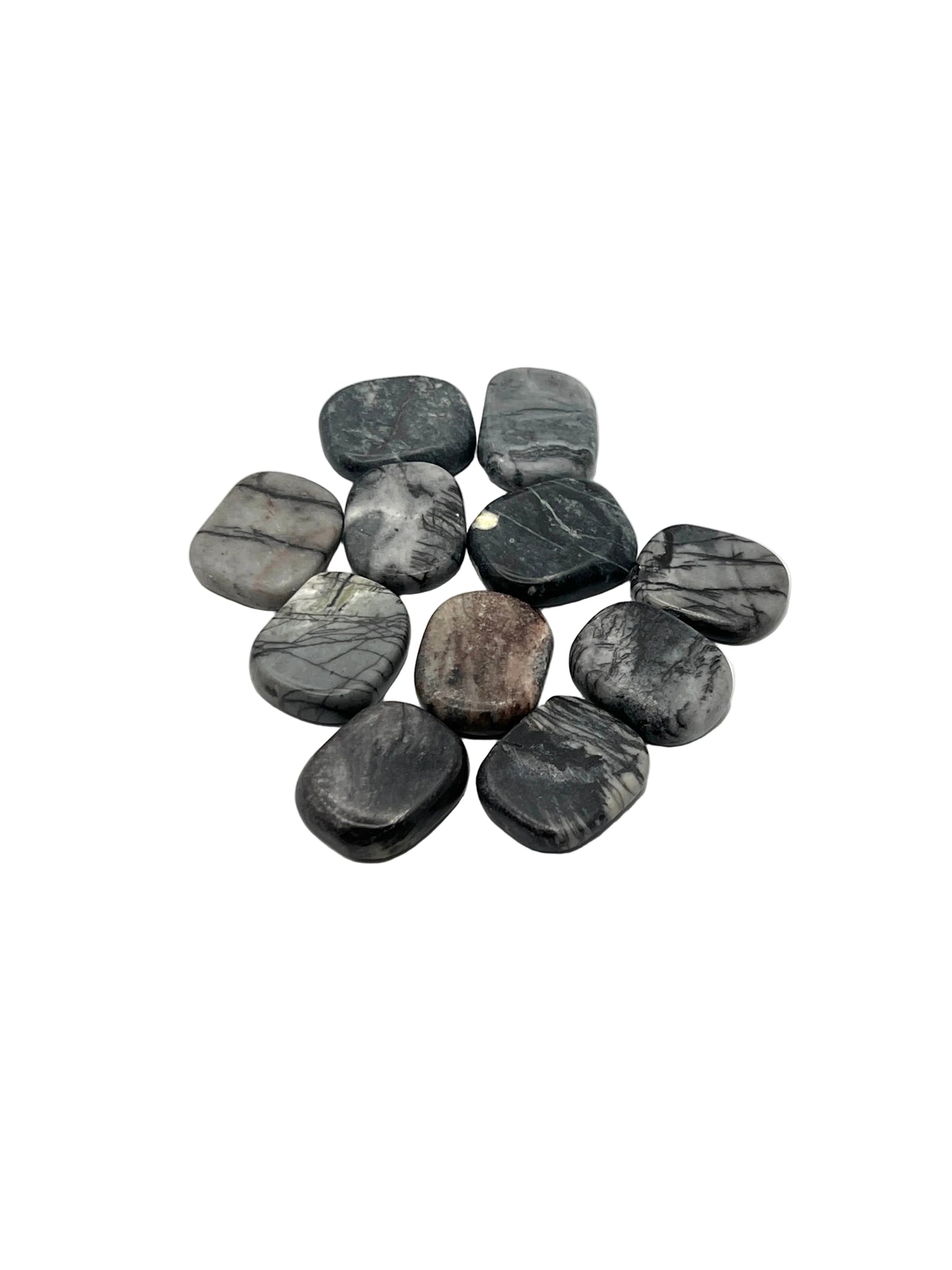 Spider Web Jasper Coins