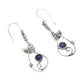 Sterling Silver Tanzanite Leaf Earrings