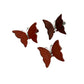Crystal Butterfly Hair Clips