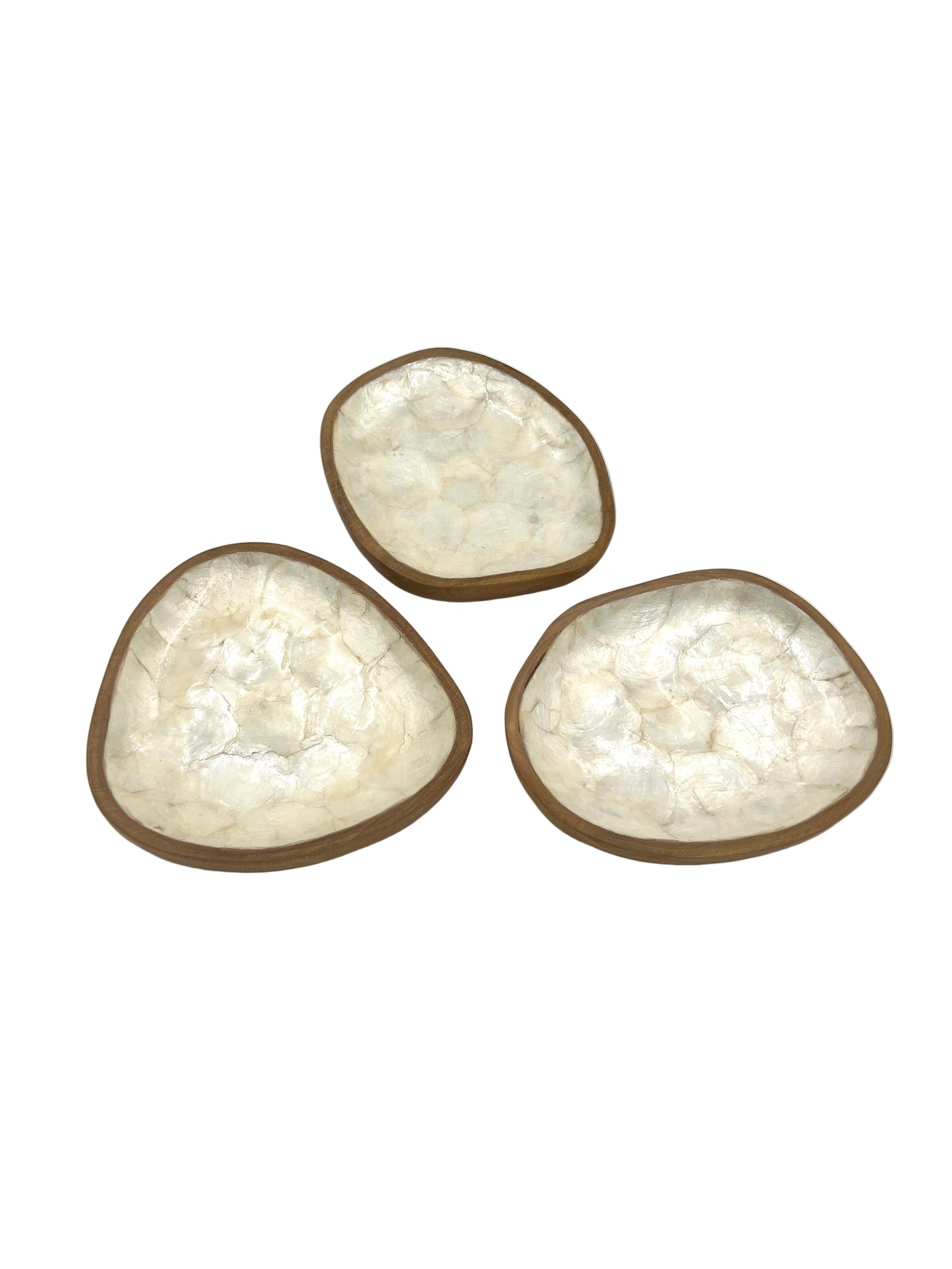 Freeform Sea Shell Wood Plate