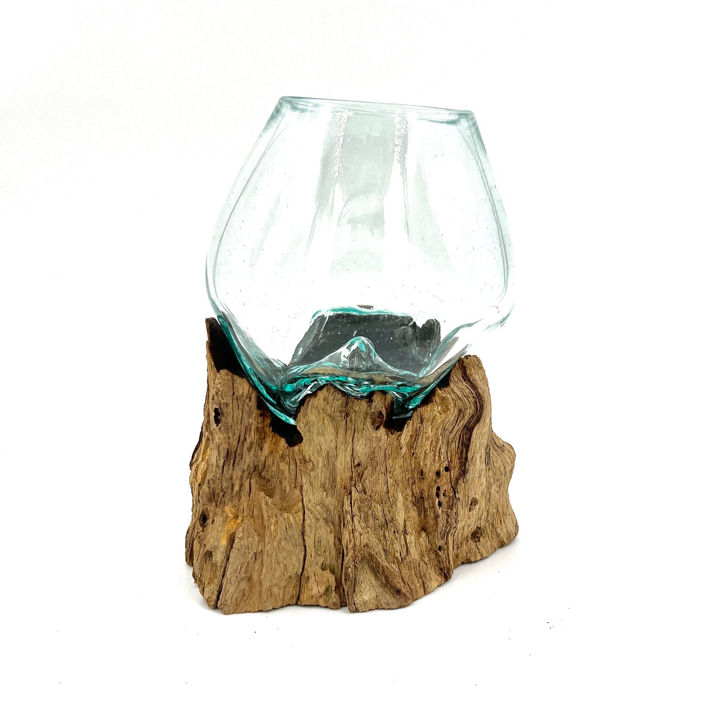 Glass and Driftwood Terrarium