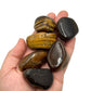 Tigers Eye Tumbles