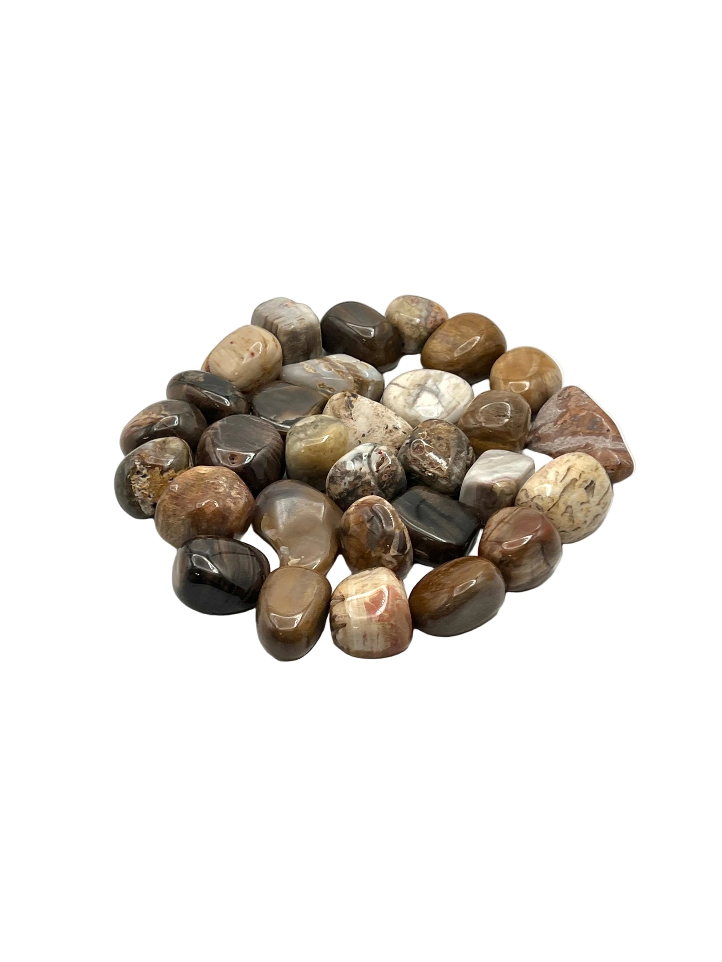 Petrified Wood Tumbles