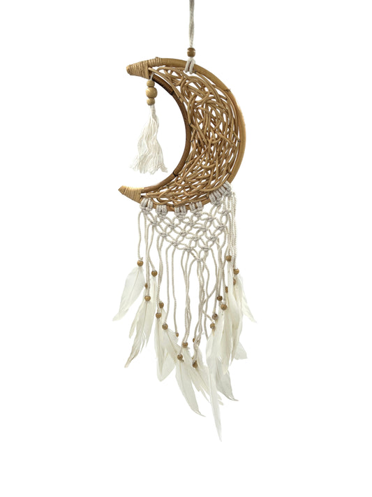 Woven Wood Moon Dream Catcher