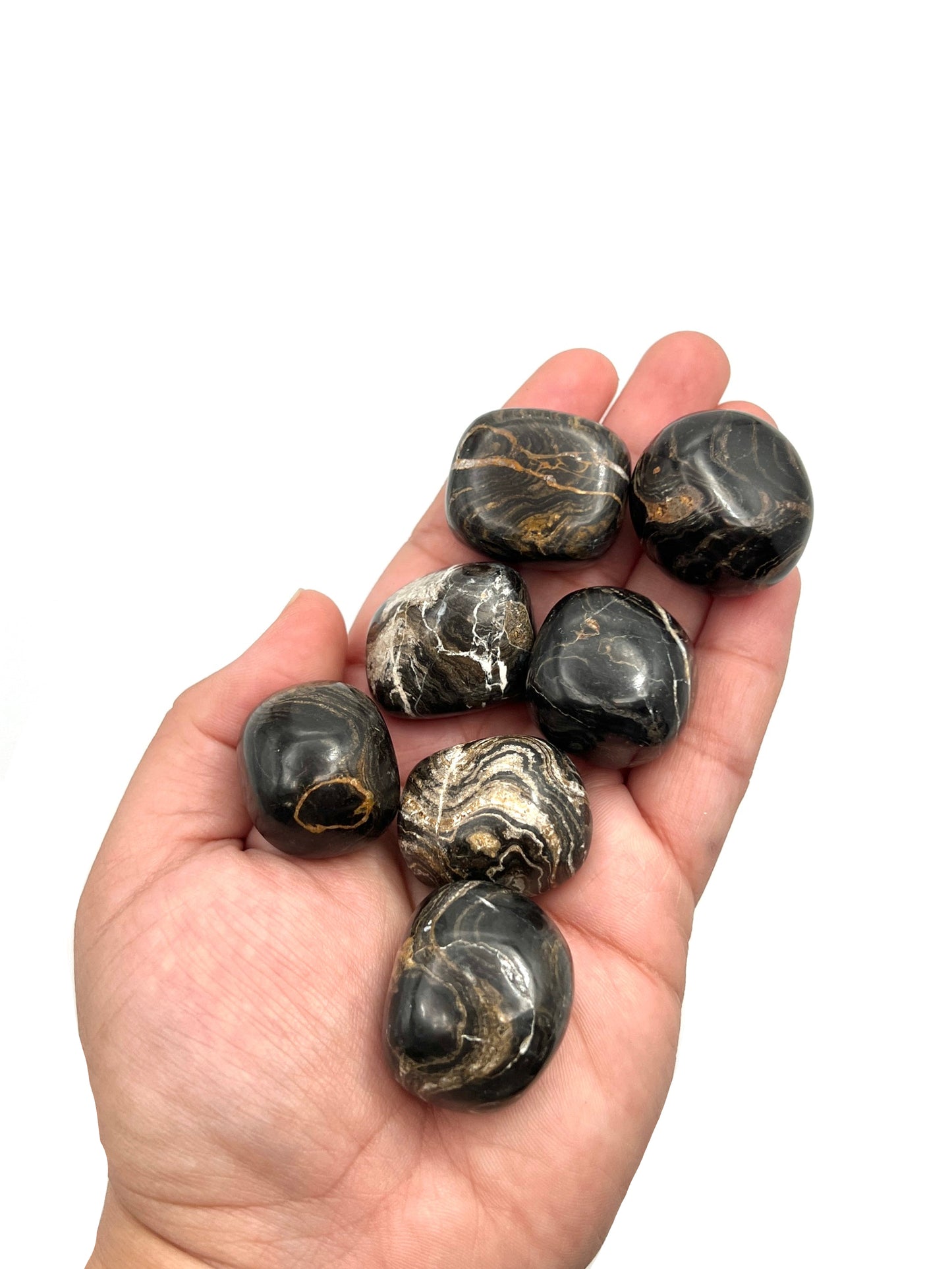 Stromatolite Tumbles
