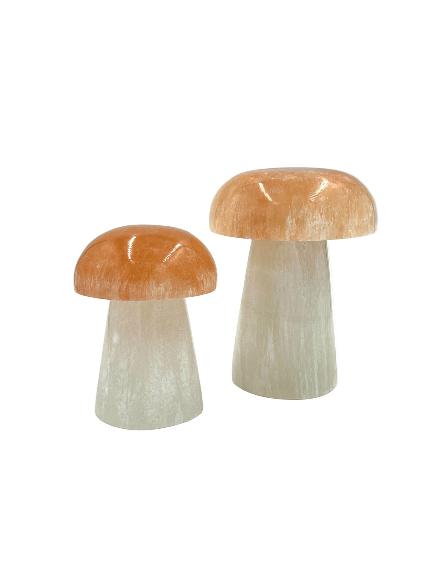 Selenite Mushroom Lamps