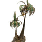 Metal Palm Tree Candle Holder