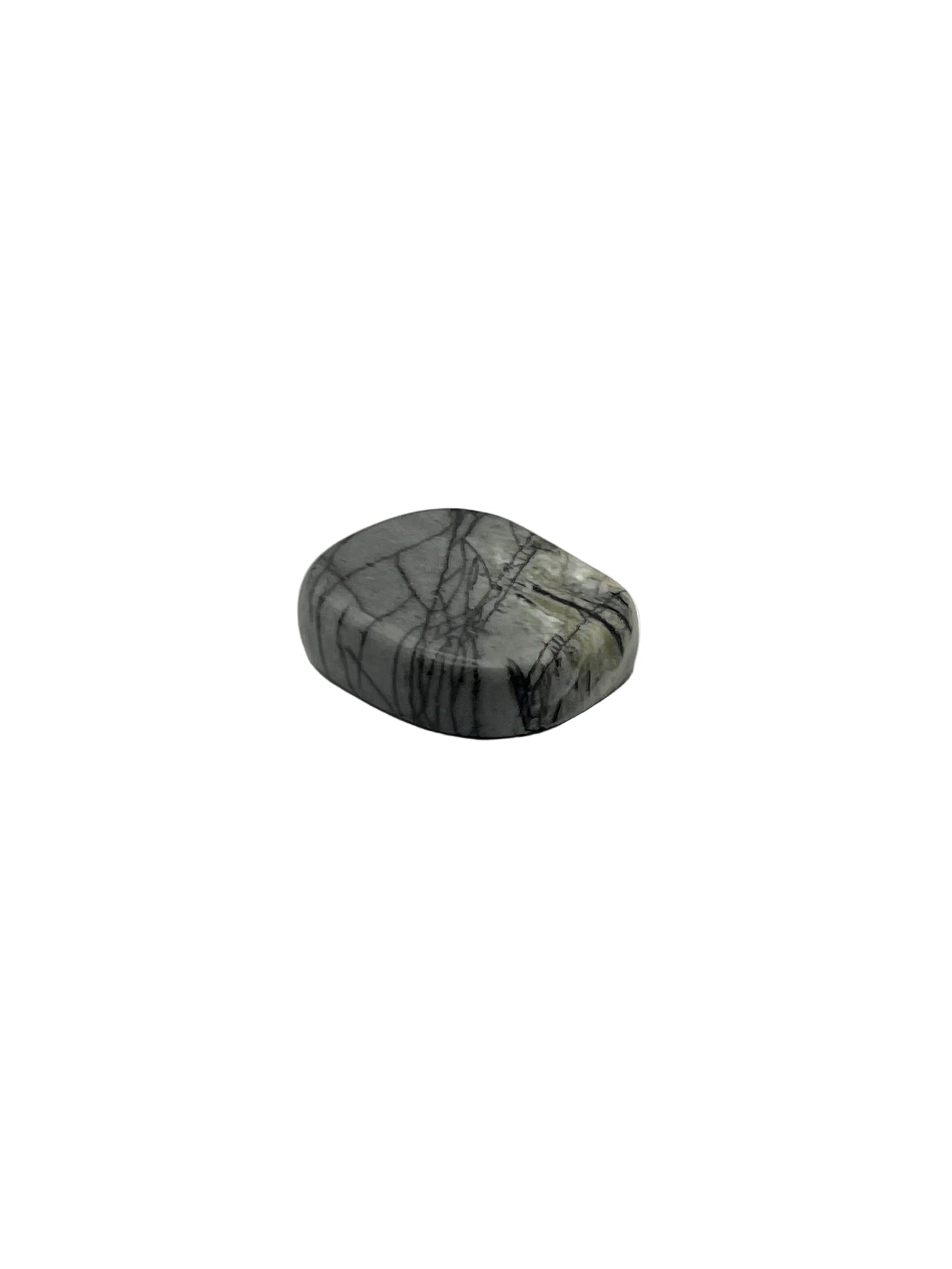 Spider Web Jasper Coins