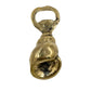 Bronze Shell Bottle Opener