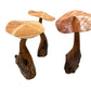 Mushroom Parasite Wood Carvings