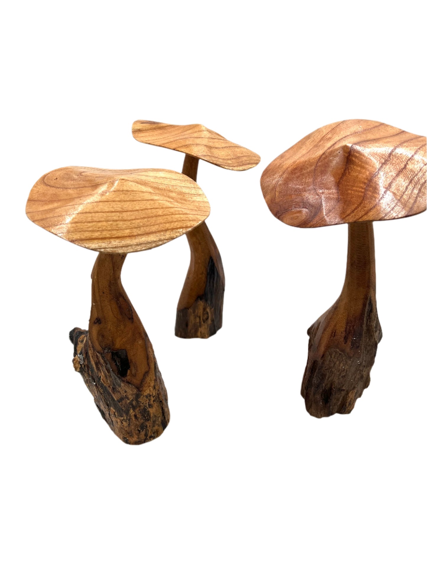 Mushroom Parasite Wood Carvings