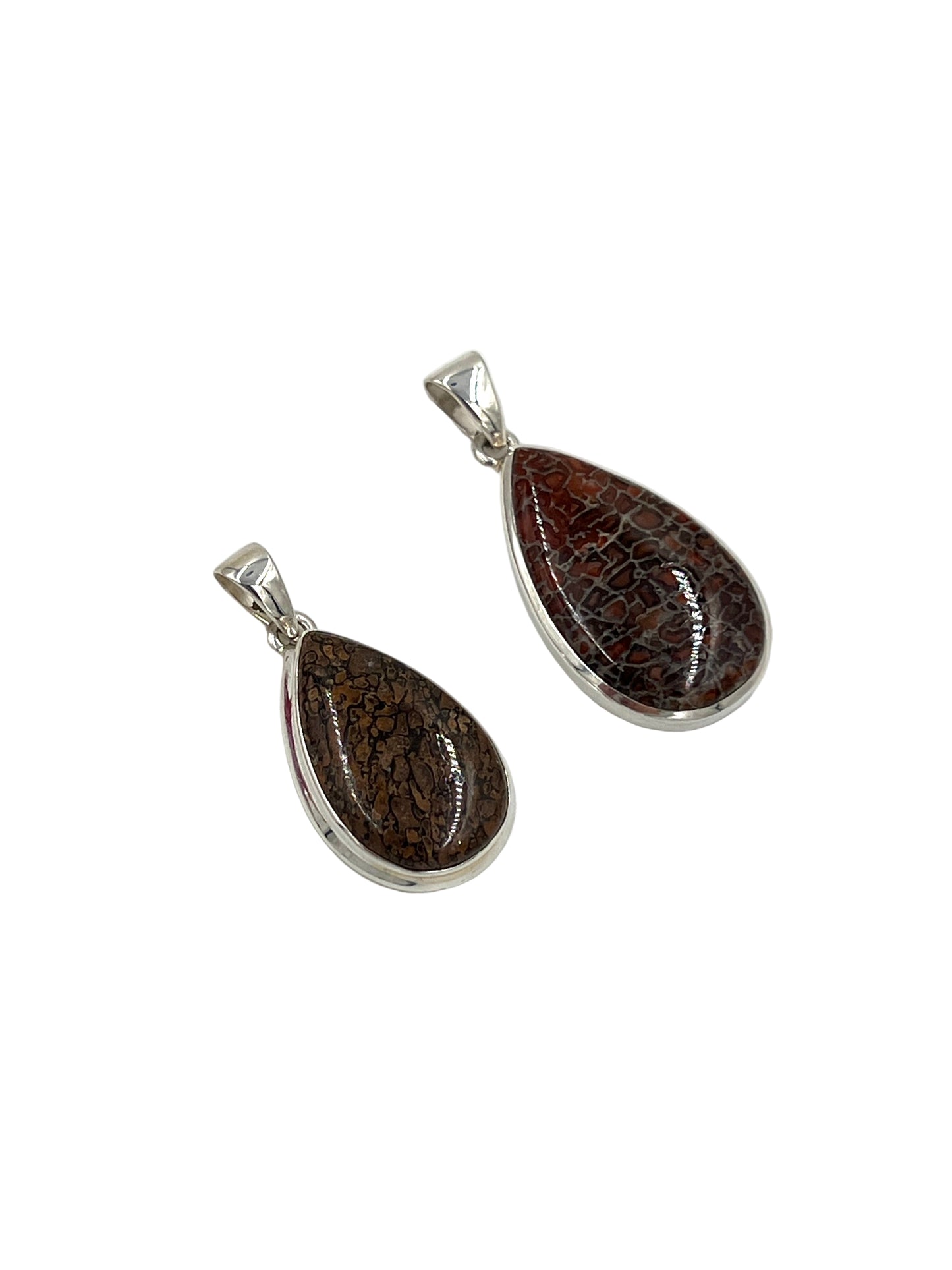 Fossilized Dinosaur Bone Teardrop Pendants