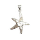 Shell Starfish Pendants