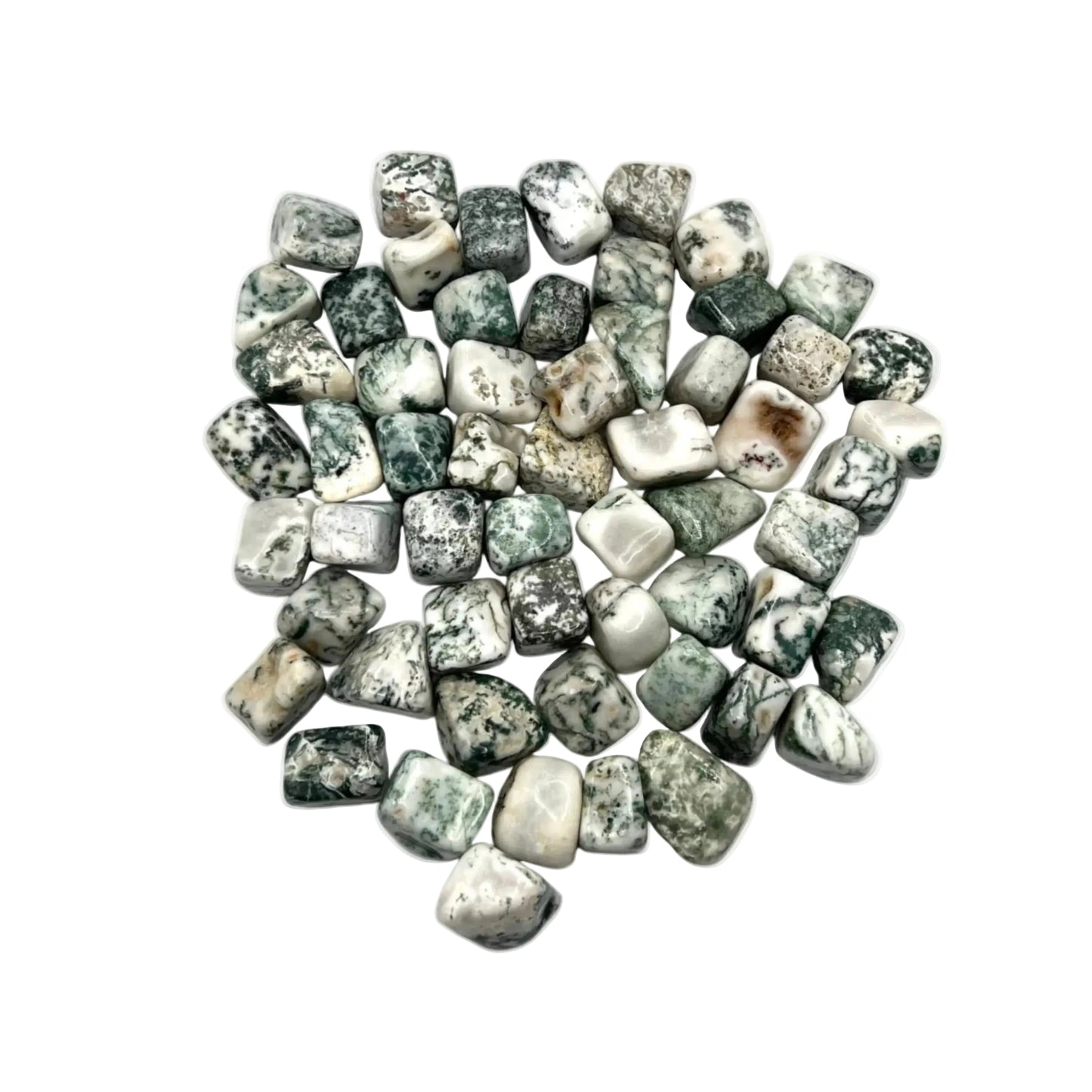 Tree Agate Tumbles