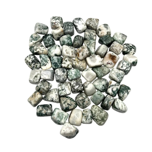 Tree Agate Tumbles