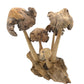 Large Parasite Wood Mushroom Colony Carving