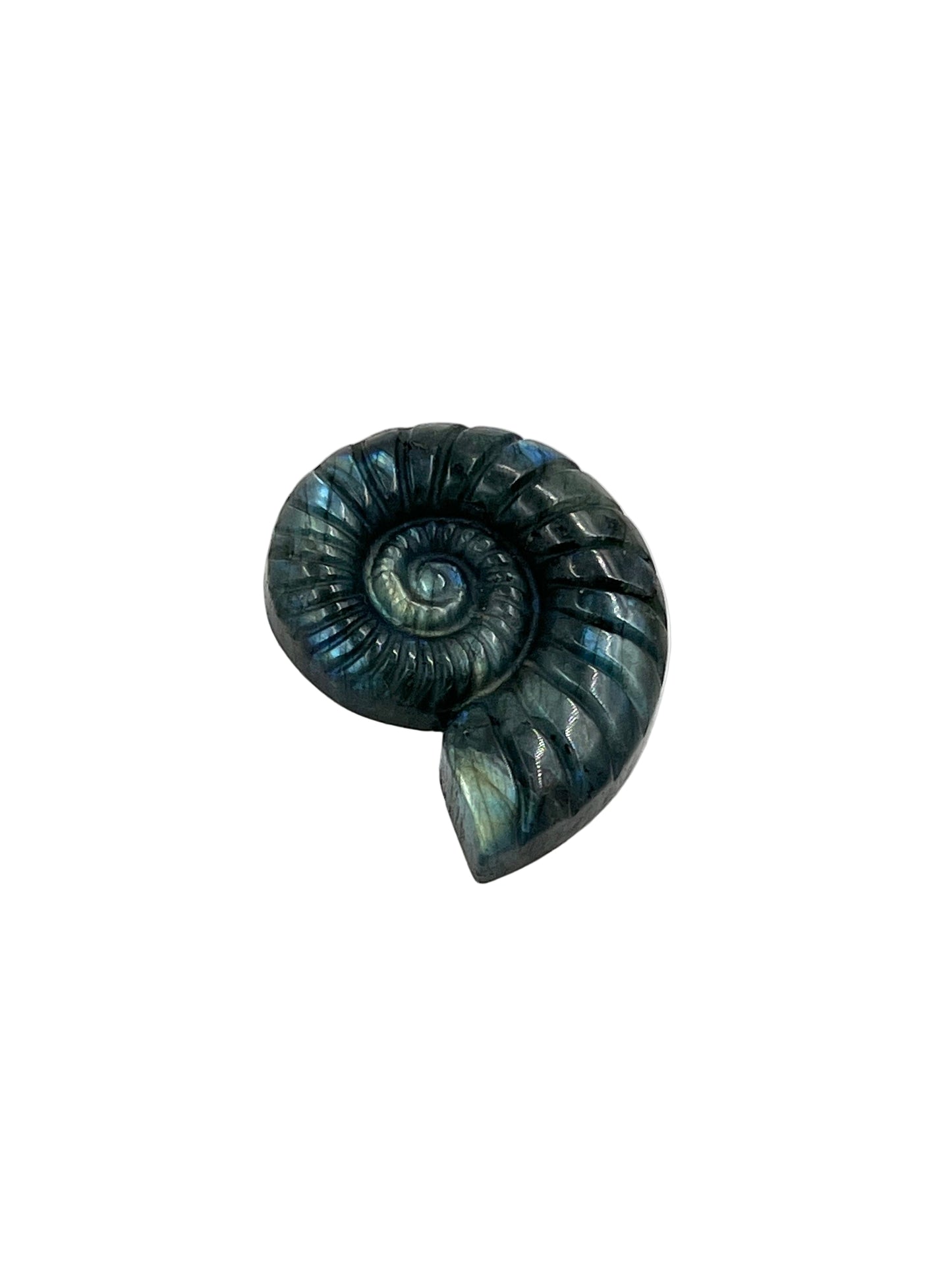 Labradorite Ammonite Carving
