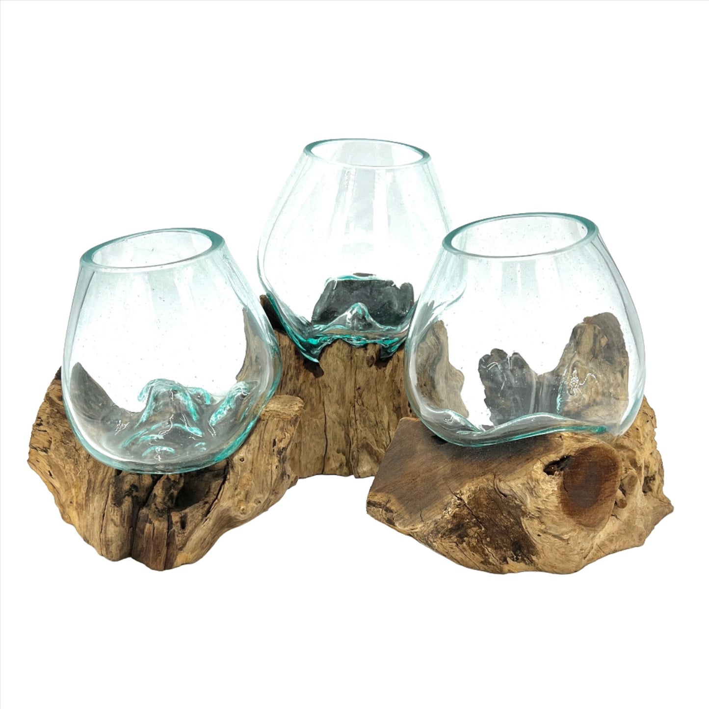 Glass and Driftwood Terrarium