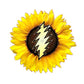 Grateful Dead Metal Stickers by Jon Dooey