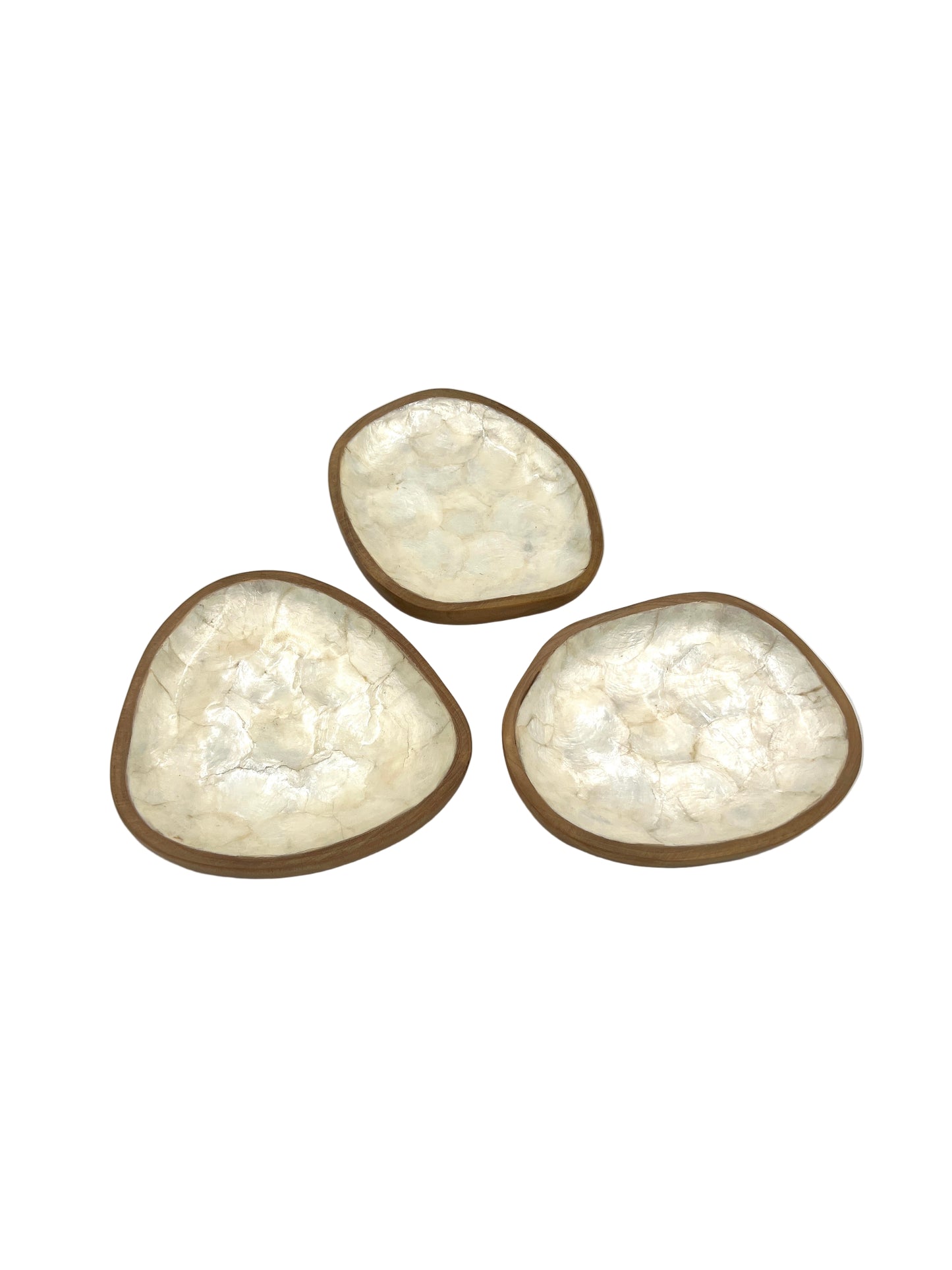 Freeform Sea Shell Wood Plate
