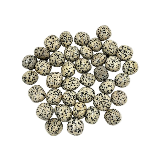 Dalmatian Jasper Tumble Nuggets