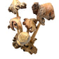 Large Parasite Wood Mushroom Colony Carving