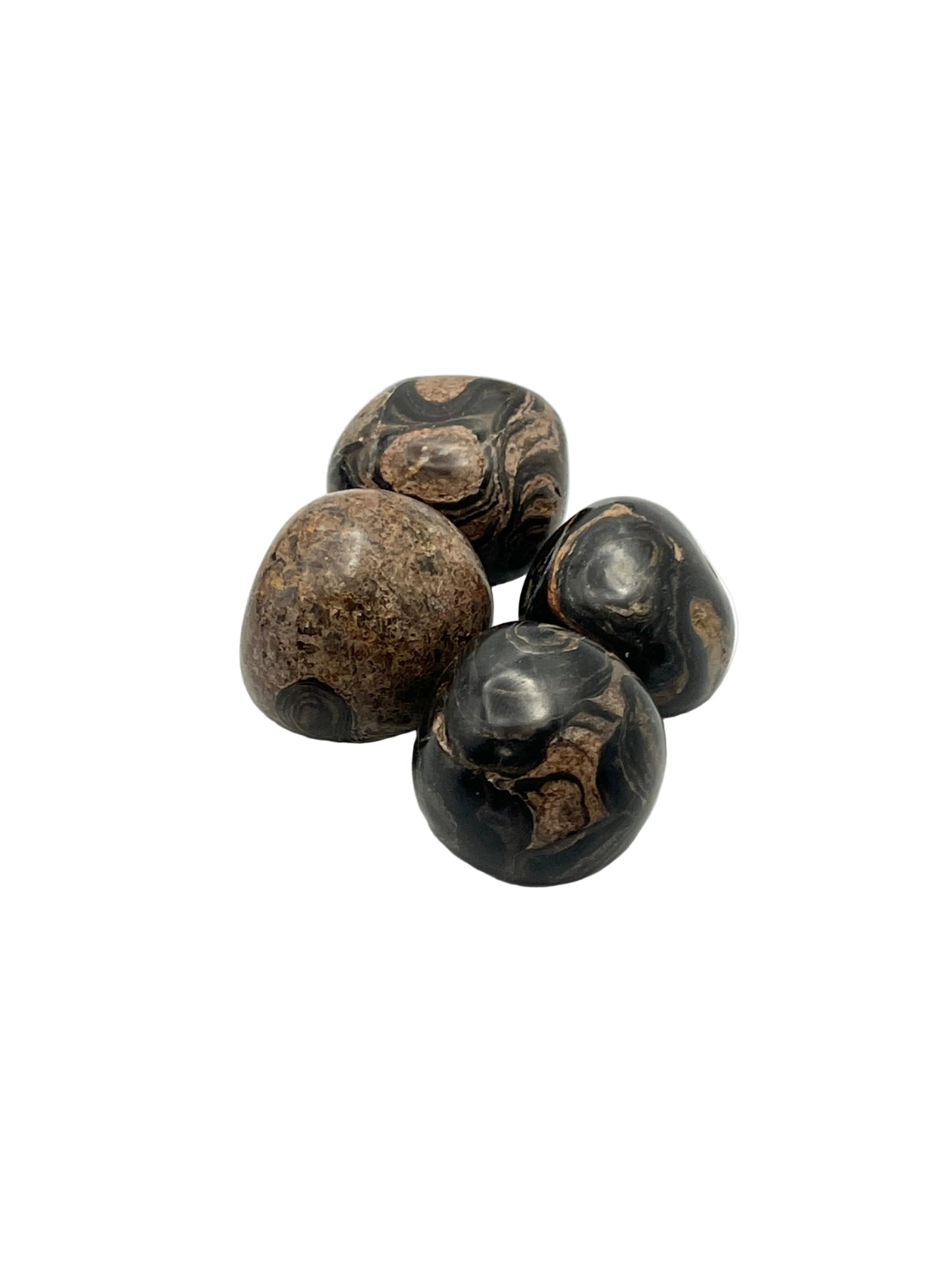 Stromatolite Tumbles