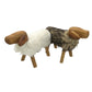 Teakwood Dog