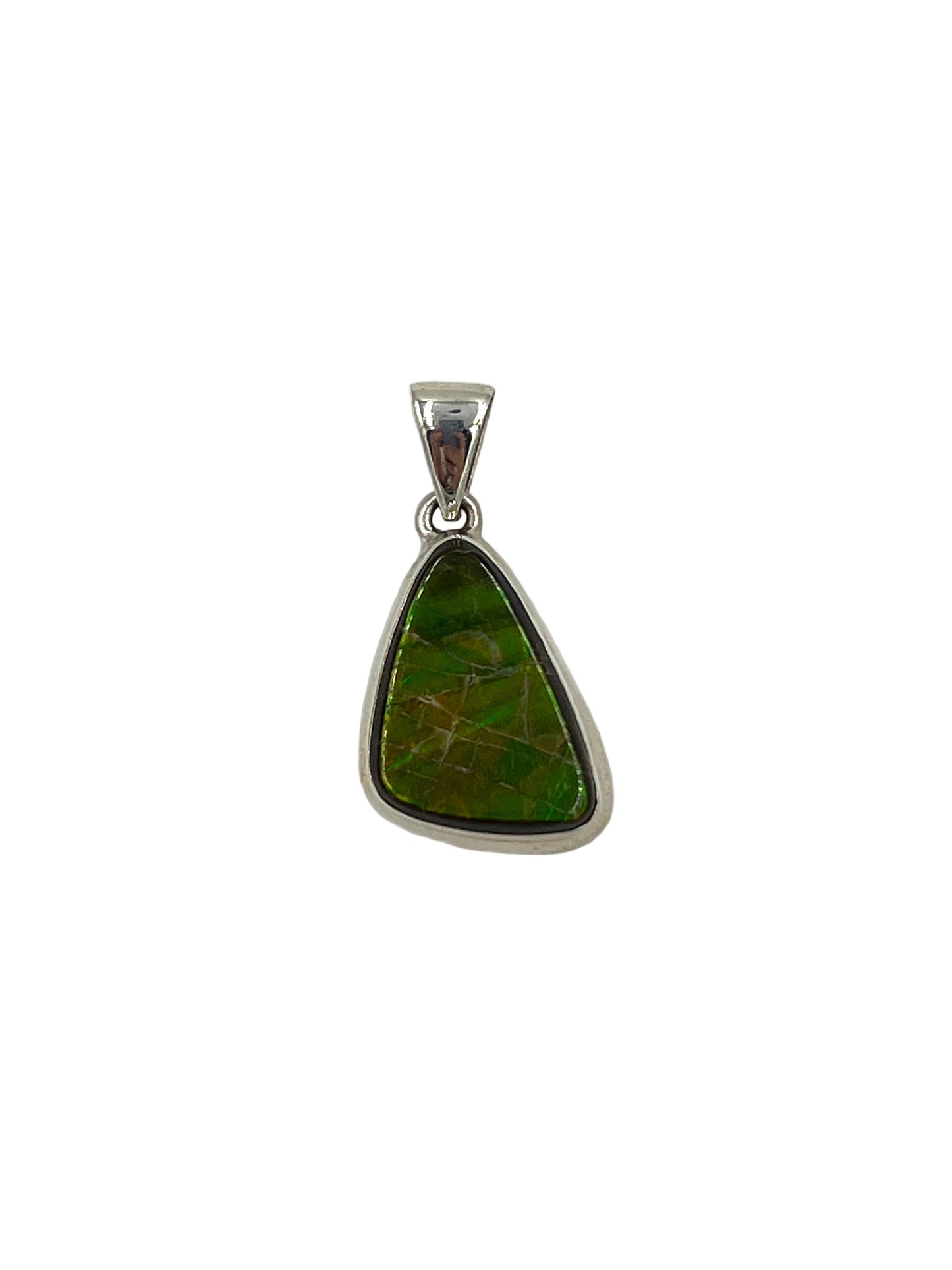 Ammolite Freeform Pendants